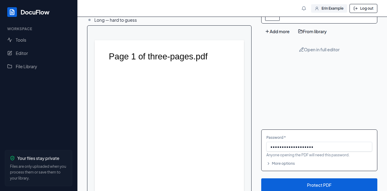 The Protect with a password page: the Password field and its plain-language strength note
